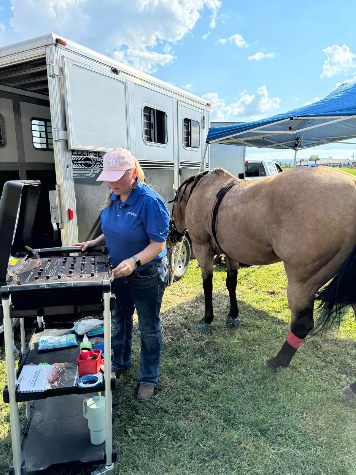 Performance Horse Wellness Sessions